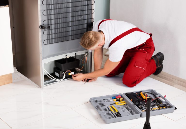 Freezer Repair Services in Virginia Beach, VA: Ensuring Optimal Performance and Longevity for Your Appliance